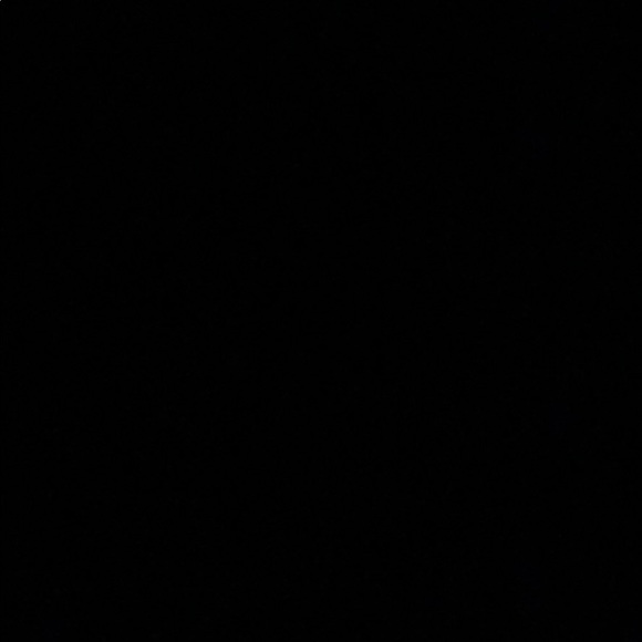 Meet your Posher, Arielle - Picture 1 of 1